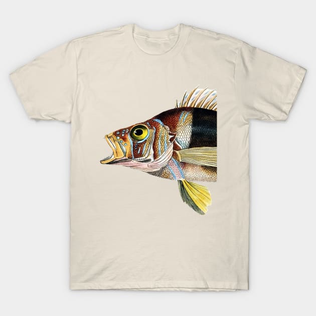 Musical Fish in G Flat T-Shirt by The Blue Box